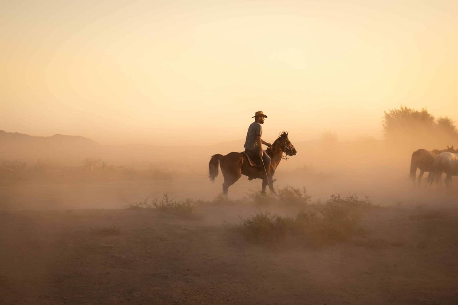 Homem montando cavalo em ambiente de pôr do sol ou amanhecer.